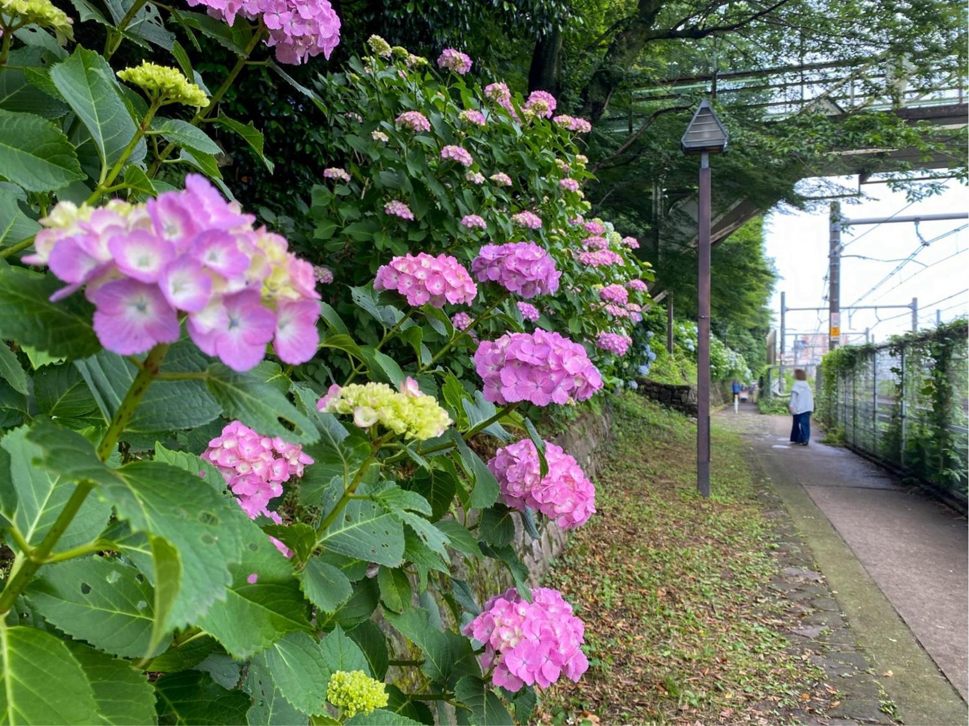 Bisk Park Higashi-jujo Pensjonat *